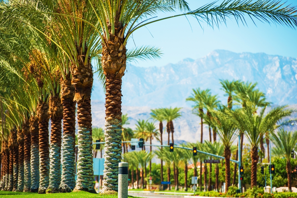 Palm trees and mountain views in Palm Springs, California