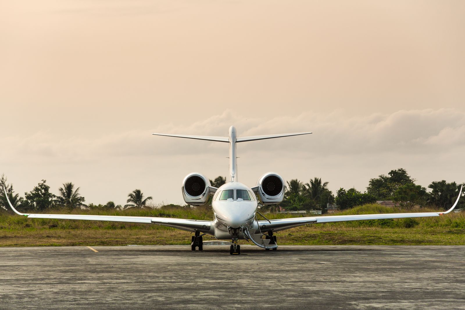 Private jet parked on a South Florida tarmac lined with palm trees