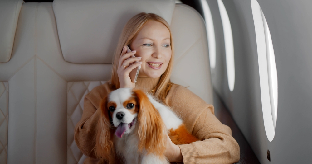 Flying with your dog on a private jet: The complete 2026 guide